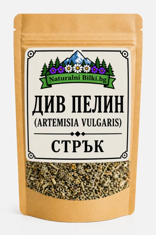 Черен пелин (див пелин) – стрък, рязан (Artemisia vulgaris)