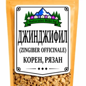Джинджифил – корен, рязан (Zingiber officinale)