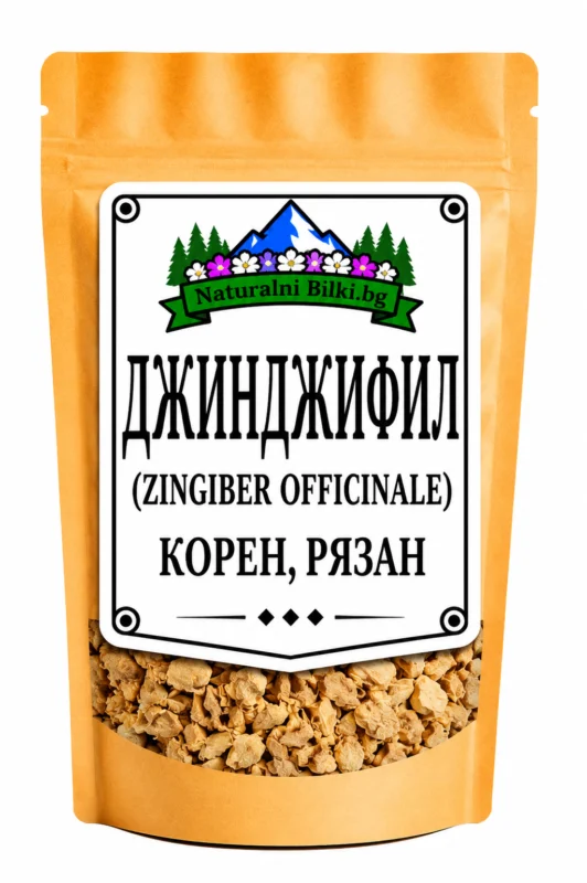 Джинджифил – корен, рязан (Zingiber officinale)
