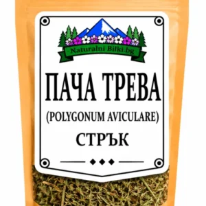 Пача трева – стрък, рязан (Polygonum aviculare)