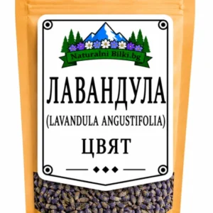 Лавандула – цвят (Lavandula angustifolia)