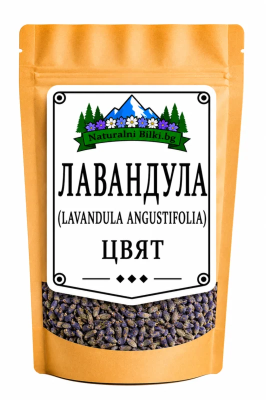Лавандула – цвят (Lavandula angustifolia)