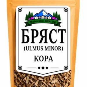 Бряст – кора, рязан (Ulmus minor)