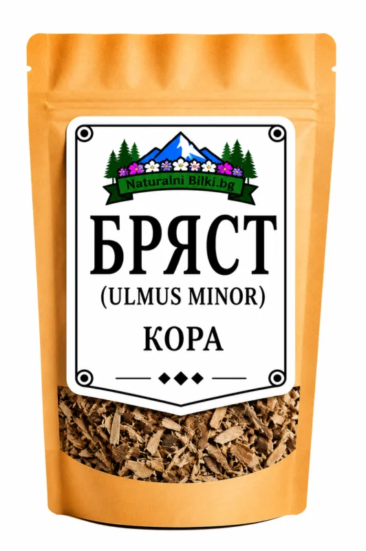 Бряст – кора, рязан (Ulmus minor)