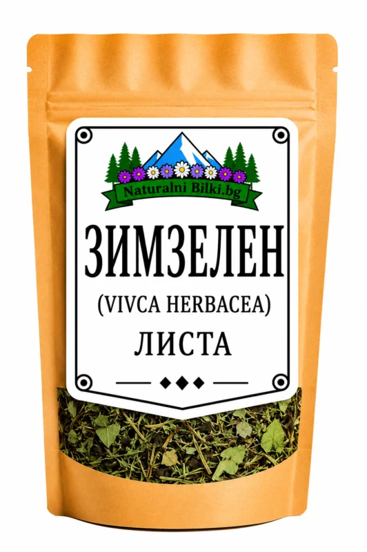 Зимзелен – листа, рязан (Vinca herbacea)
