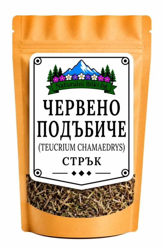 Червено подъбиче – стрък, рязан (Teucrium chamaedrys)