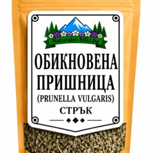 Обикновена пришница – стрък с цвят, рязан (Prunella vulgaris)