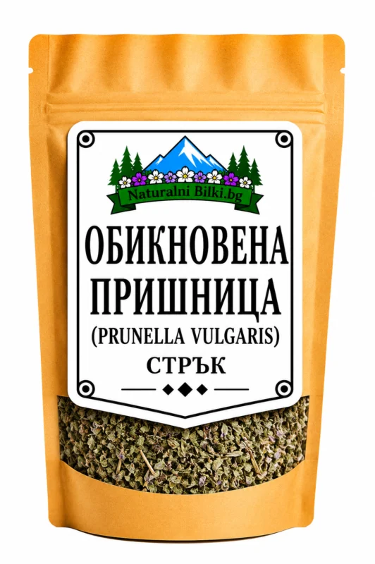 Обикновена пришница – стрък с цвят, рязан (Prunella vulgaris)
