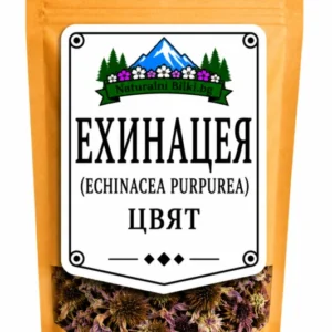 Ехинацея – цвят, рязан (Echinacea purpurea)