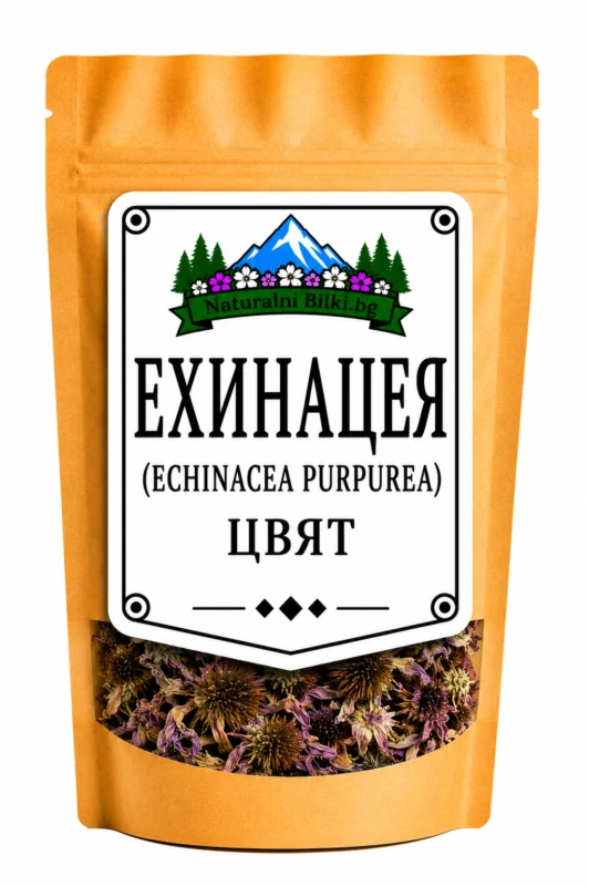 Ехинацея – цвят, рязан (Echinacea purpurea)