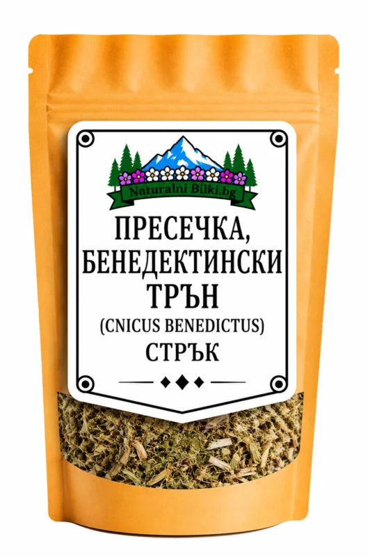 Пресечка (бенедиктински трън) – стрък, рязан (Cnicus benedictus)