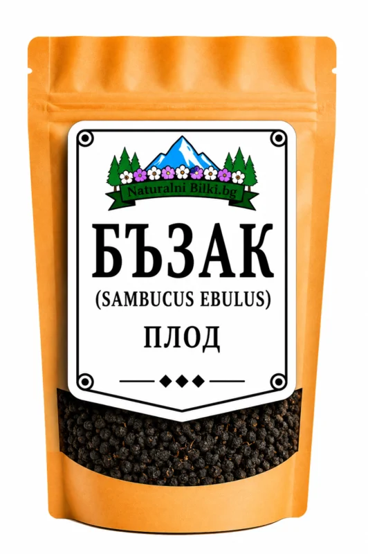 Бъзак (нисък бъз) – плод, рязан (Sambucus ebulus)