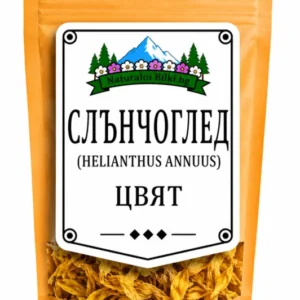 Слънчоглед – цвят, рязан (Helianthus annuus)