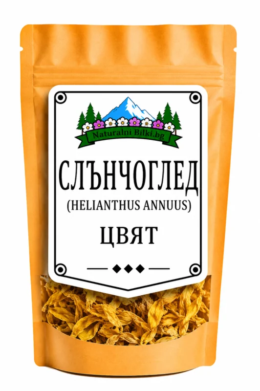 Слънчоглед – цвят, рязан (Helianthus annuus)