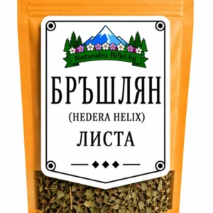 Бръшлян – листа, рязан (Hedera helix)