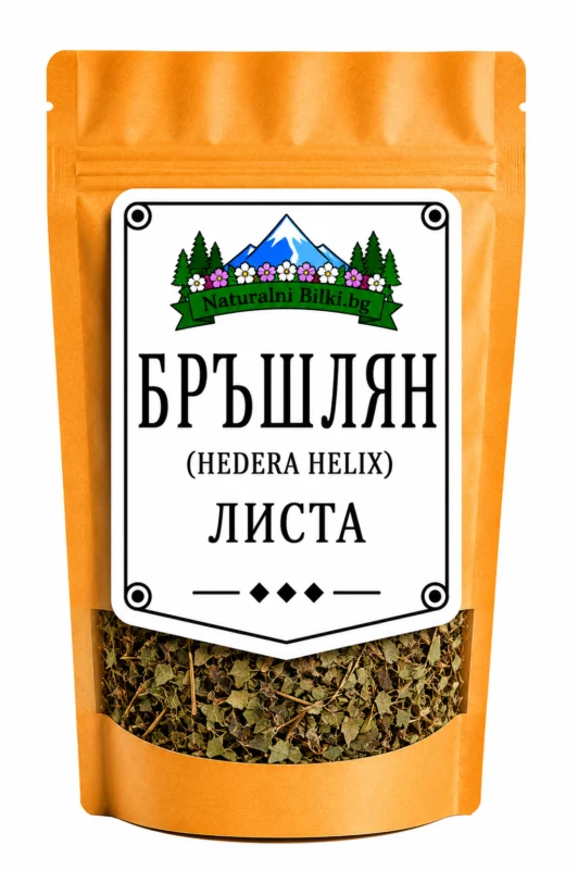 Бръшлян – листа, рязан (Hedera helix)