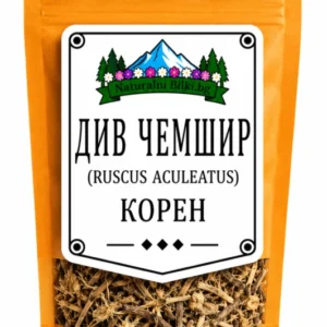 Див чемшир (бодлива зайча сянка) – корен, рязан (Ruscus aculeatus)