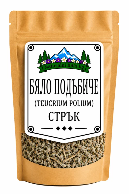 Подъбиче – стрък, рязан (Teucrium polium)