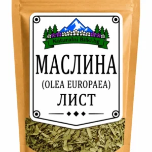 Маслина – листа, рязан (Olea europaea)