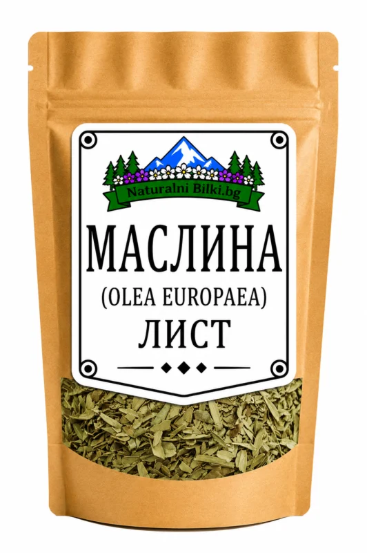 Маслина – листа, рязан (Olea europaea)