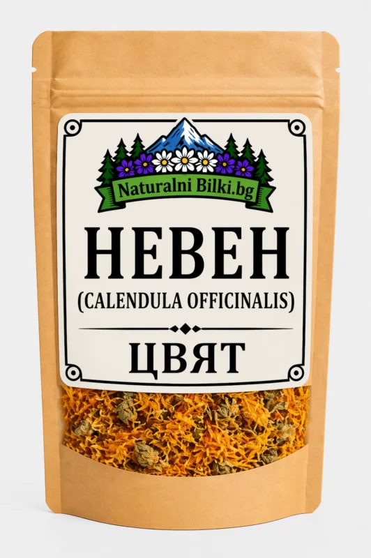 Невен – цвят, рязан (Calendula officinalis)