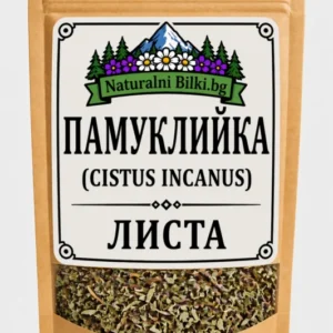 Памуклийка (цистус) – стрък, рязан (Cistus incanus)