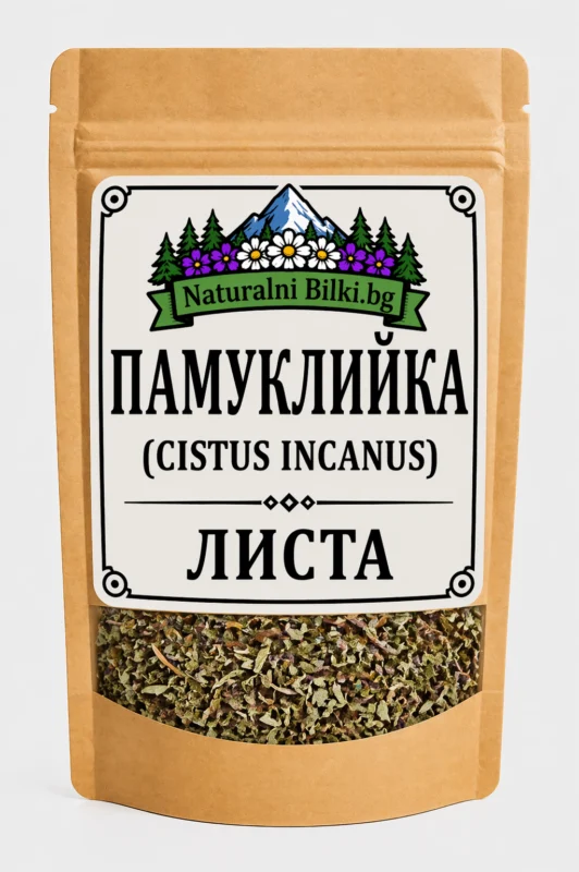 Памуклийка (цистус) – стрък, рязан (Cistus incanus)