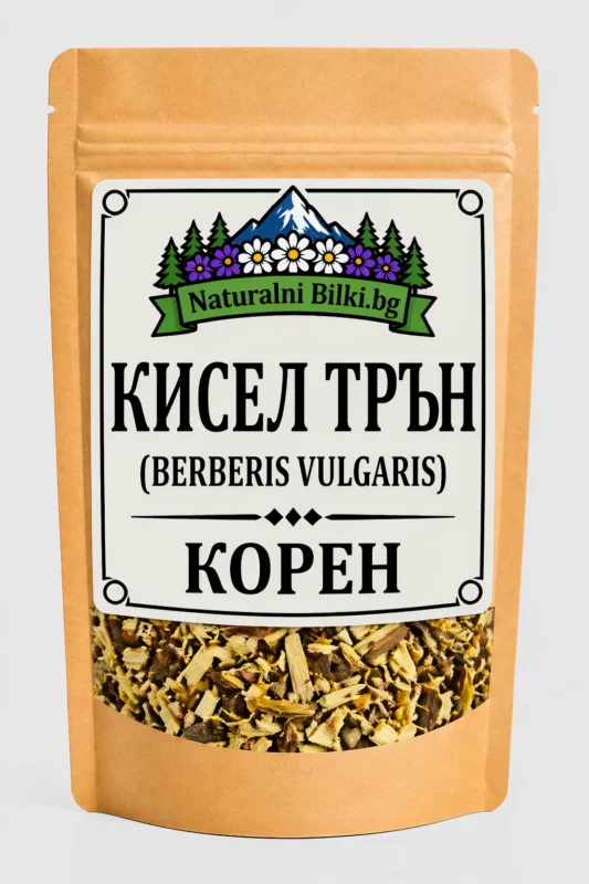 Кисел трън (берберис) – корен, рязан (Berberis vulgaris)