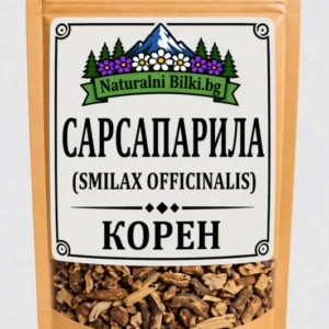 Сарсапарила – корен, рязан (Smilax officinalis)