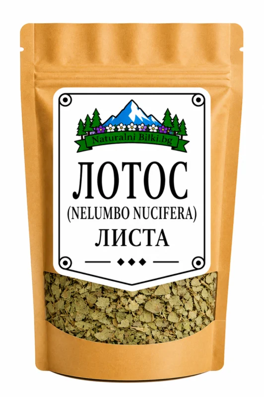 Лотос – листа, рязан (Nelumbo nucifera)