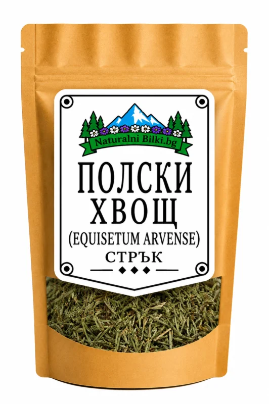 Полски хвощ – стрък, рязан (Equisetum arvense)