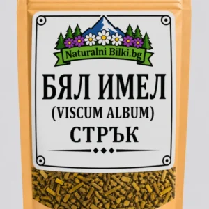 Бял имел – стрък, рязан (Viscum album)