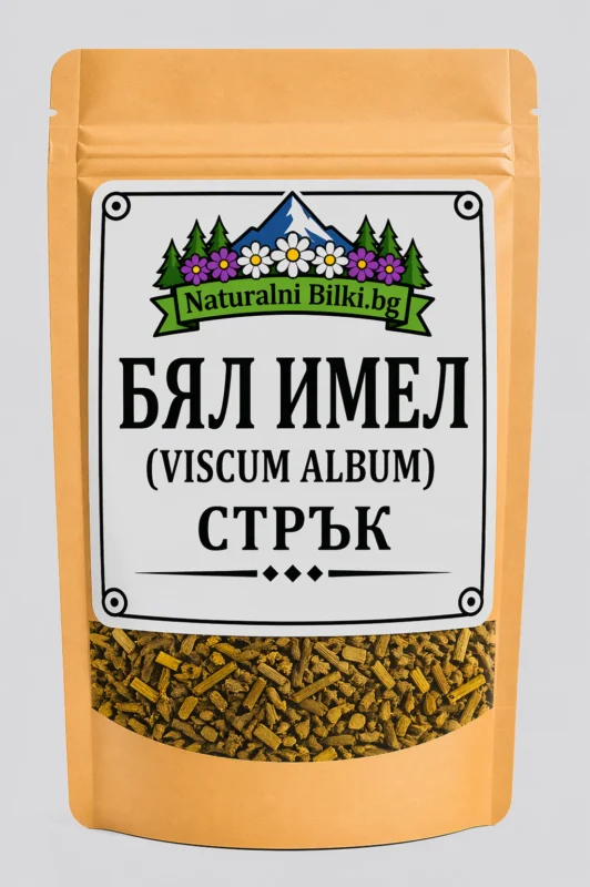 Бял имел – стрък, рязан (Viscum album)