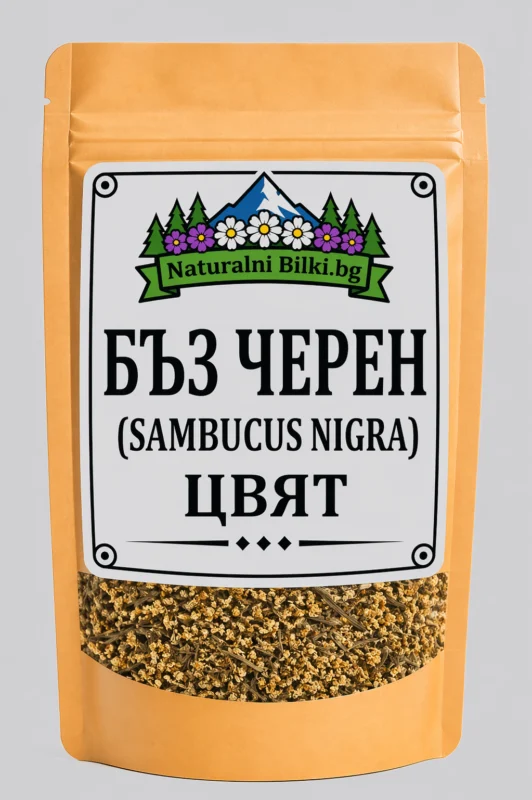 Черен бъз – цвят, рязан (Sambucus nigra)