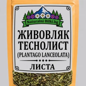 Теснолист живовляк – листа, рязан (Plantago lanceolata)