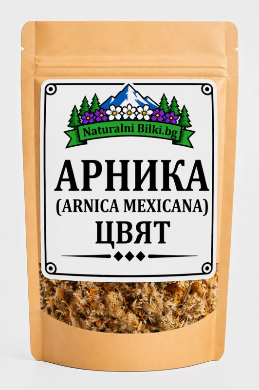 Арника – цвят (Arnica montana)