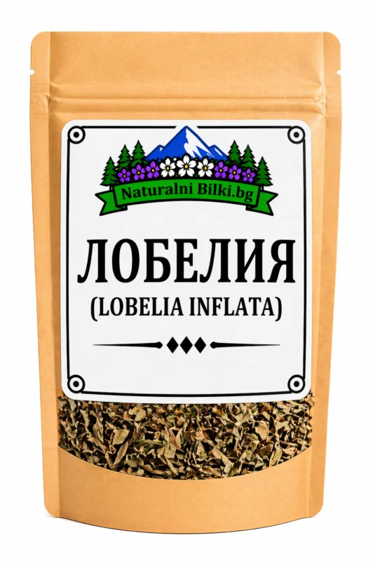 Лобелия – стрък, рязан (Lobelia inflata)