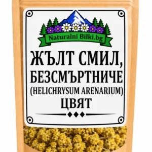 Жълт смил, безсмъртниче – цвят (Helichrysum arenarium)