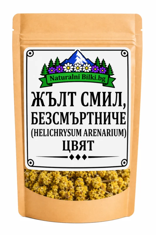 Жълт смил, безсмъртниче – цвят (Helichrysum arenarium)