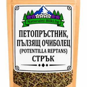 Петопръстник (пълзящ очиболец) – стрък, рязан (Potentilla reptans)