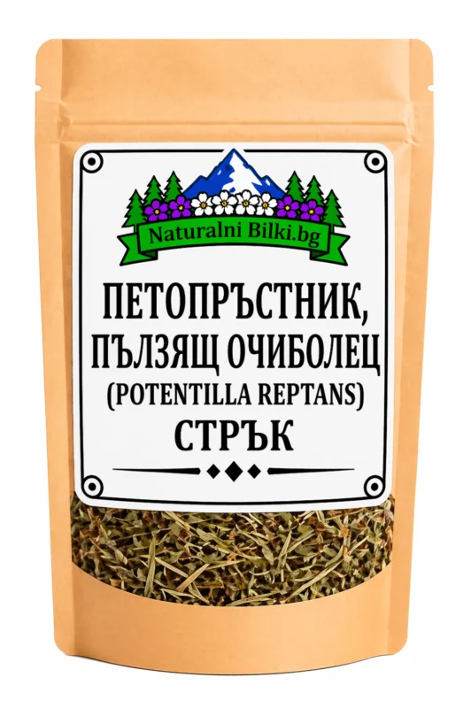Петопръстник (пълзящ очиболец) – стрък, рязан (Potentilla reptans)