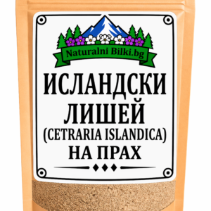Исландски лишей – на прах (Cetraria islandica)