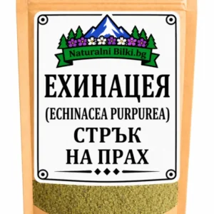 Ехинацея – стрък, на прах (Echinacea purpurea)