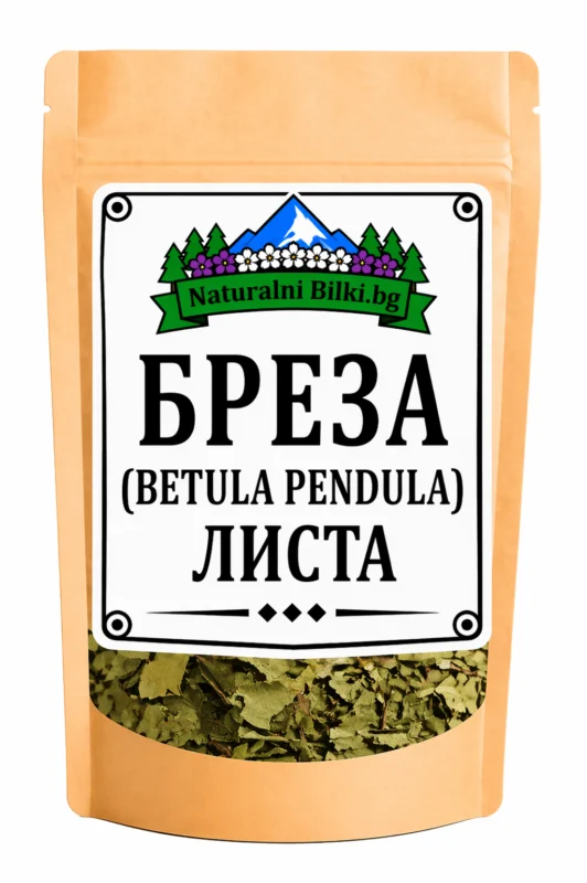 Бяла бреза – листа, рязан (Betula pendula)