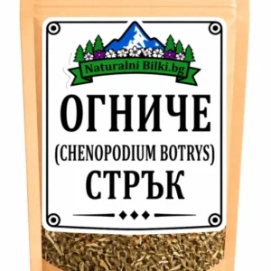 Огниче – стрък, рязан (Chenopodium botrys)
