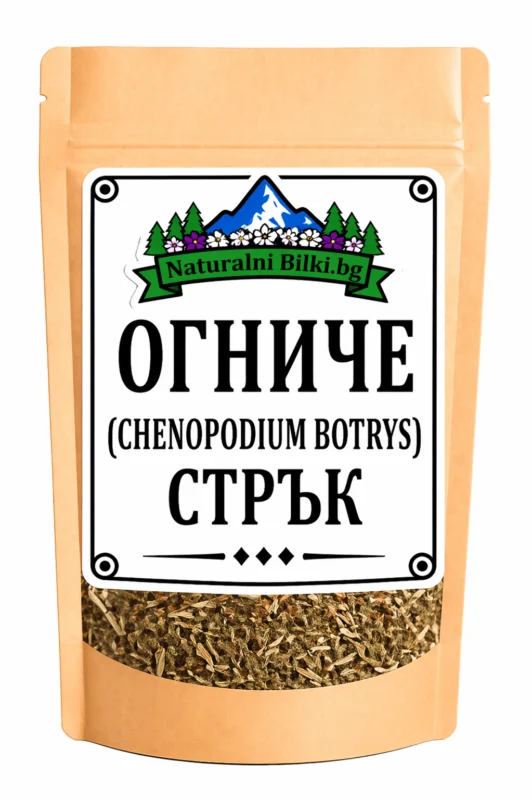 Огниче – стрък, рязан (Chenopodium botrys)