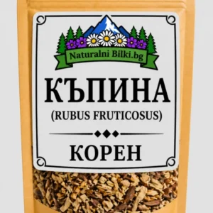 Къпина – корен, рязан (Rubus fruticosus)
