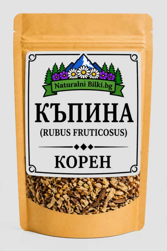 Къпина – корен, рязан (Rubus fruticosus)