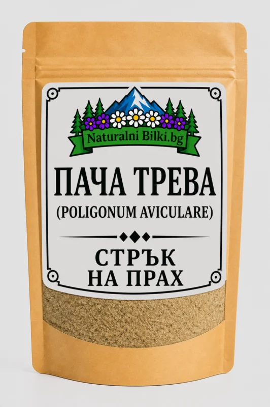 Пача трева – стрък, на прах (Polygonum aviculare)