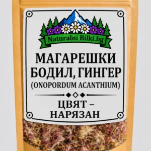 Магарешки трън – цвят, рязан (Onopordum acanthium)